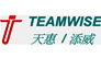 TEAMWISE